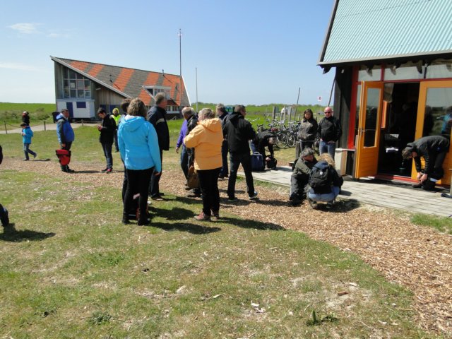 HWK Texel 252.jpg
